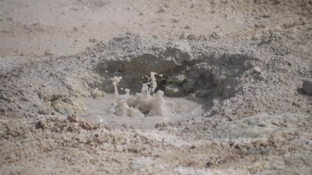 Es blubbert im Schlammloch