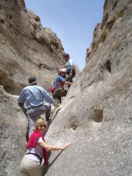 Steinwald, Pampa Cañaos