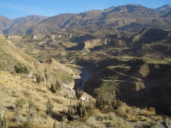 Colca Tal