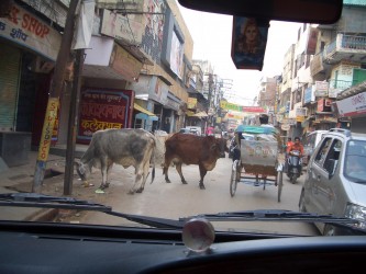 Straßenleben, Varanasi