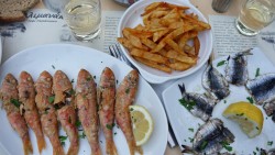 Red Mullet - Rotbarbe