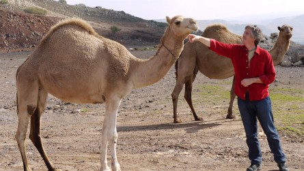 Reisebekanntschaften