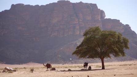Wadi Rum