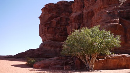 Wadi Rum