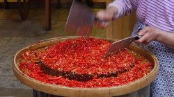 Feine Chillis in Arbeit