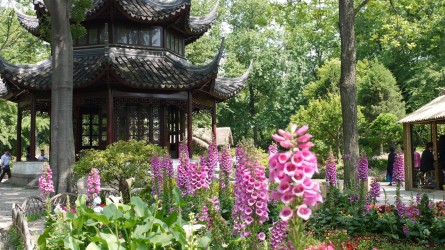 Garten des bescheidenen Beamten, Suzhou