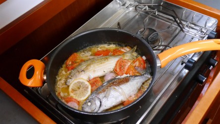 Fangfrische Fische an Bord