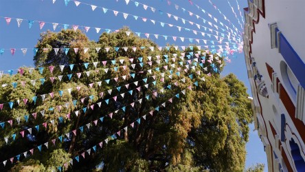 Sumpfzypresse vor der Iglesia Sta María, Tule