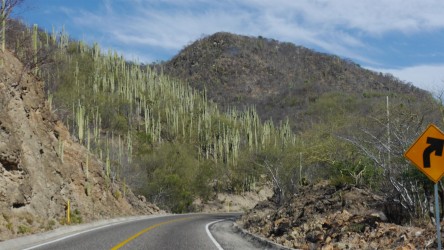 Unterwegs am Isthmus von Tehuantepec