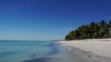 Strandpause am Golf von Mexiko, La Bahía de los Ángeles