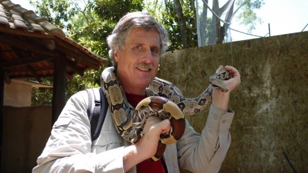 Boa Constrictor, Vogelpark in Foz do Iguaçu