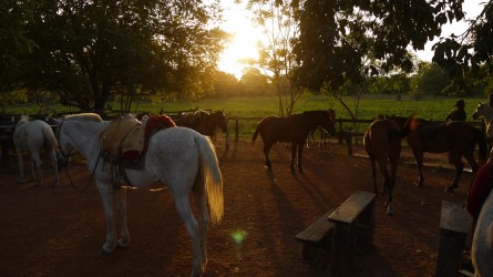 Araras Lodge, Pantanal