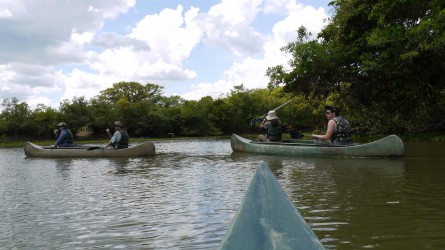 Kanufahrt am Rio Claro, Pantanal
