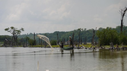 Fischer am Rio Puraquequara
