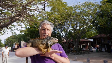 Urlaubsbekanntschaft mit Leguan