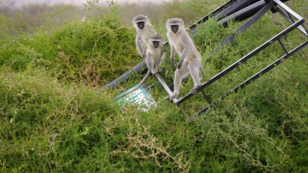 Am Straßenrand Richtung Zuurberg