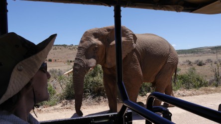 Addo Elephant Nationalpark