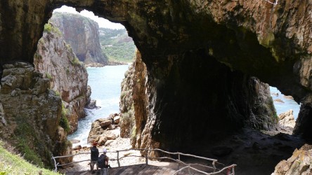 Featherbed Nature Reserve, Knysna