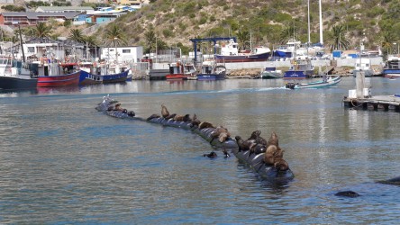Hout Bay