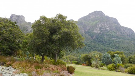 National Botanical Gardens, Kirstenbosch