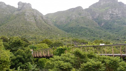 Canopy Walkway, National Botanical Gardens