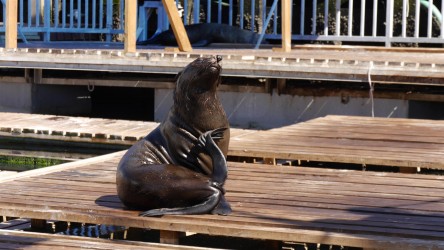 Waterfront, Kapstadt