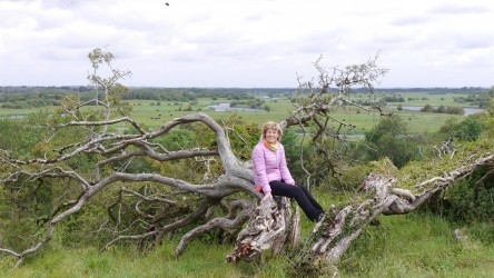 Spaziergang, Shannonbridge