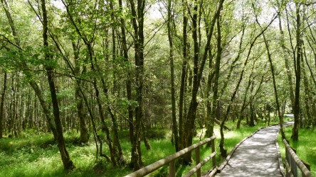 Rund um den See, Glendalough