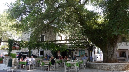 Taverna Oasis, Strinílas