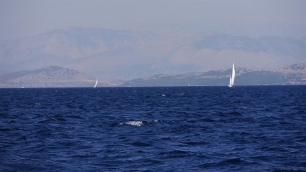 Blick auf die Albanische Küstenlandschaft
