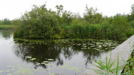 Wanderung im Nationalpark Alde Feanen