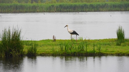 Nationalpark Alde Feanen