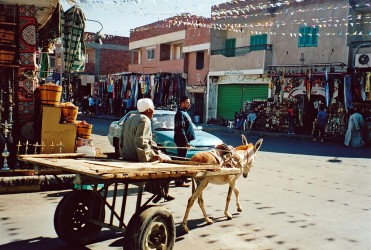 Markt, Hurghada