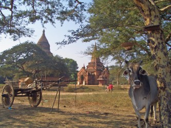 Bagan Bagan