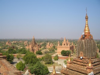 Bagan pagoda field Bagan Pagodenfeld