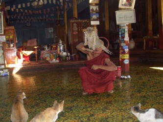 Nge Phe Chaung Jumping Cats Monastery, Inle lake Nge Phe Chaung Jumping Cats Monastery, Inle See