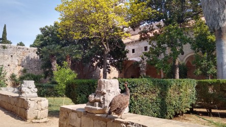 Altes Kloster, Insel Lokrum