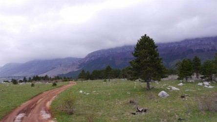 Hochebene Veliko Rujno