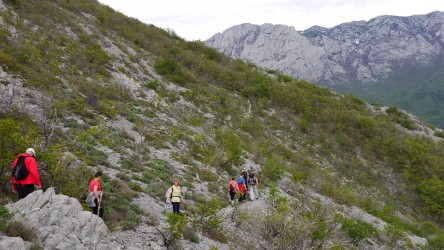 Unteregs zur Velika Paklenica Schlucht