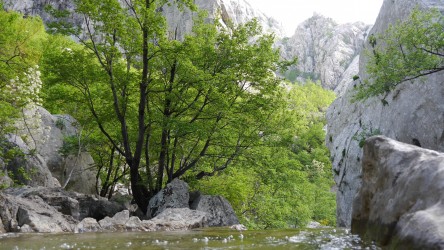 Velika Paklenica Schlucht