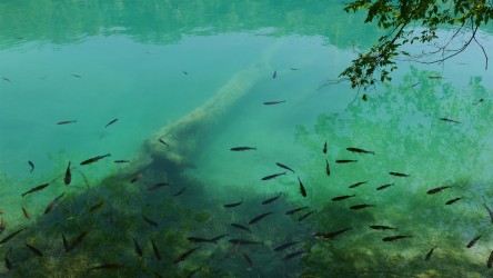 Untere Seen, Nacionalni park Plitvička jezera