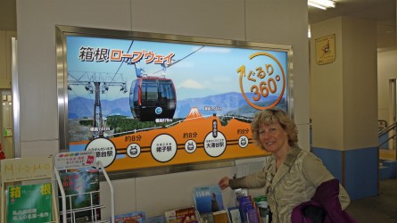 Ōwakudani Volcanic Zone