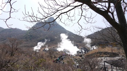 Ōwakudani Volcanic Zone