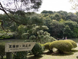 Iris Garden, Yoyogi Park