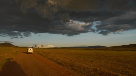 Abendstimmung, Massai Mara