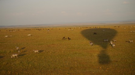 Frühmorgendliche Ballonfahrt, Massai Mara