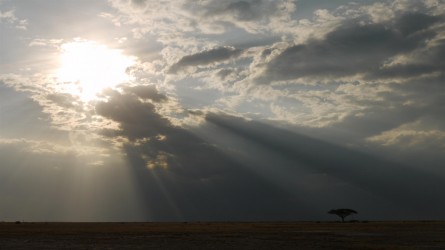 Amboseli Nationalpark