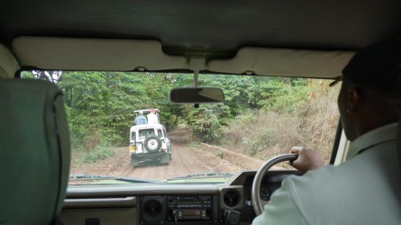 Pirschfahrt beim Lake Manyara