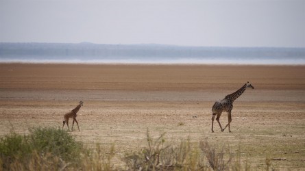 Lake Manyara