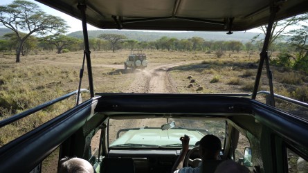 Serengeti